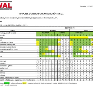 raport P3